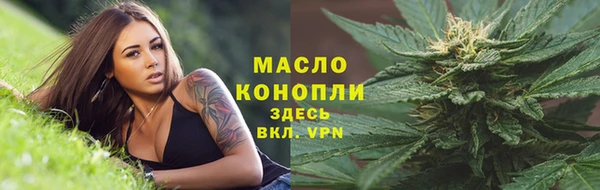 гидра Верхний Тагил