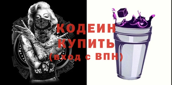 гидра Верхний Тагил