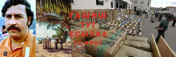 гидра Верхний Тагил