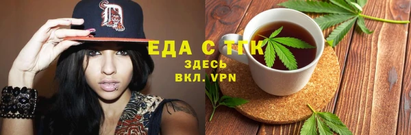 гидра Верхний Тагил
