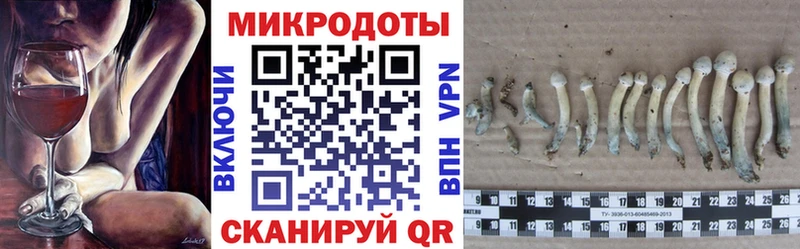 Псилоцибиновые грибы Cubensis  сколько стоит  Комсомольск-на-Амуре 